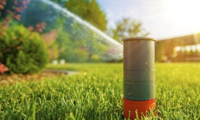 Home lawn sprinkler spraying water