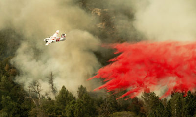 Photo of air tanker fighting Ferguson Fire