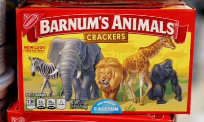 Photo of redesigned animal cracker box/packaging