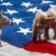 Photo of a donkey and an elephant on an American flag