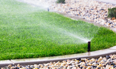 Photo of a lawn sprinkler