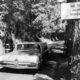 Photo of the roadway leading into Bohemian Grove in Monte Rio, Ca.