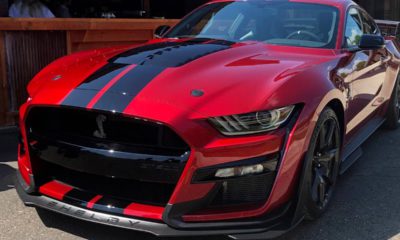 Photo of the 2020 Shelby GT500