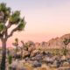 Photo of Joshua Tree National Park