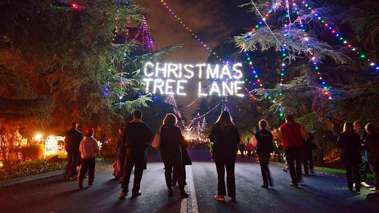 A photo of pedestrians enjoying "walk night" on Christmas Tree Lane