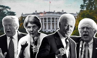 Photo collage of President Donald Trump, Elizabeth Warren, Joe Biden, and Bernie Sanders