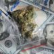 Photo of money and marijuana