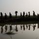 Photo of Myanmar's Rohingya ethnic minority