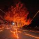 Photo of embers flying during the Kincade Fire in Calistoga, Ca.