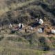 Photo of investigators working at the scene of the helicopter crash that killed Kobe Bryant