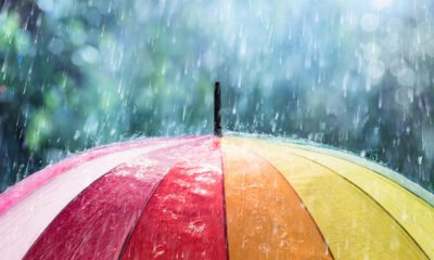 photo of a rainbow colored umbrella