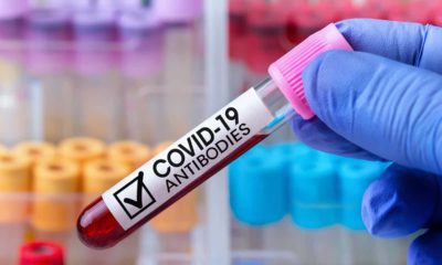 Photo of a blood vial labeled "COVID-19 antibodies"