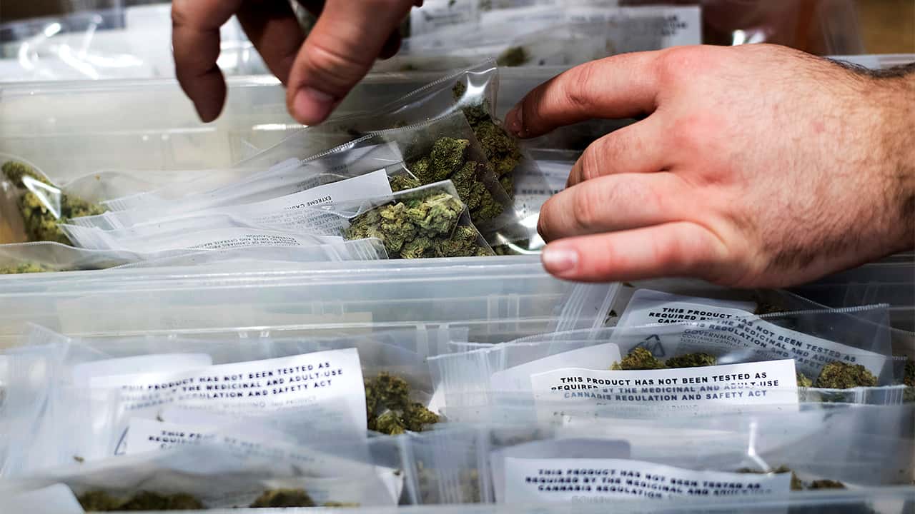 Photo of cannabis packaged for recreational sales